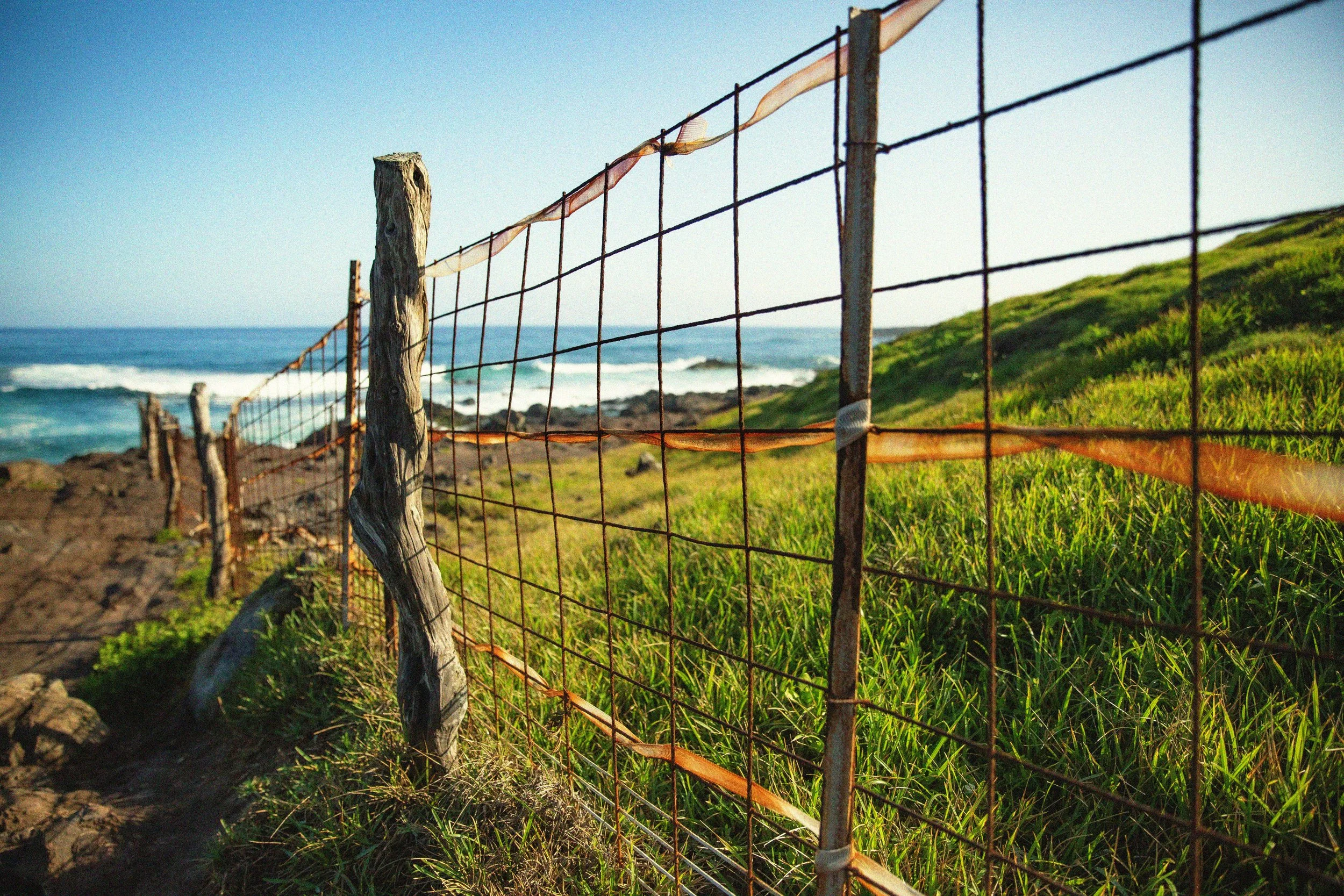 Hawaii photograph 17