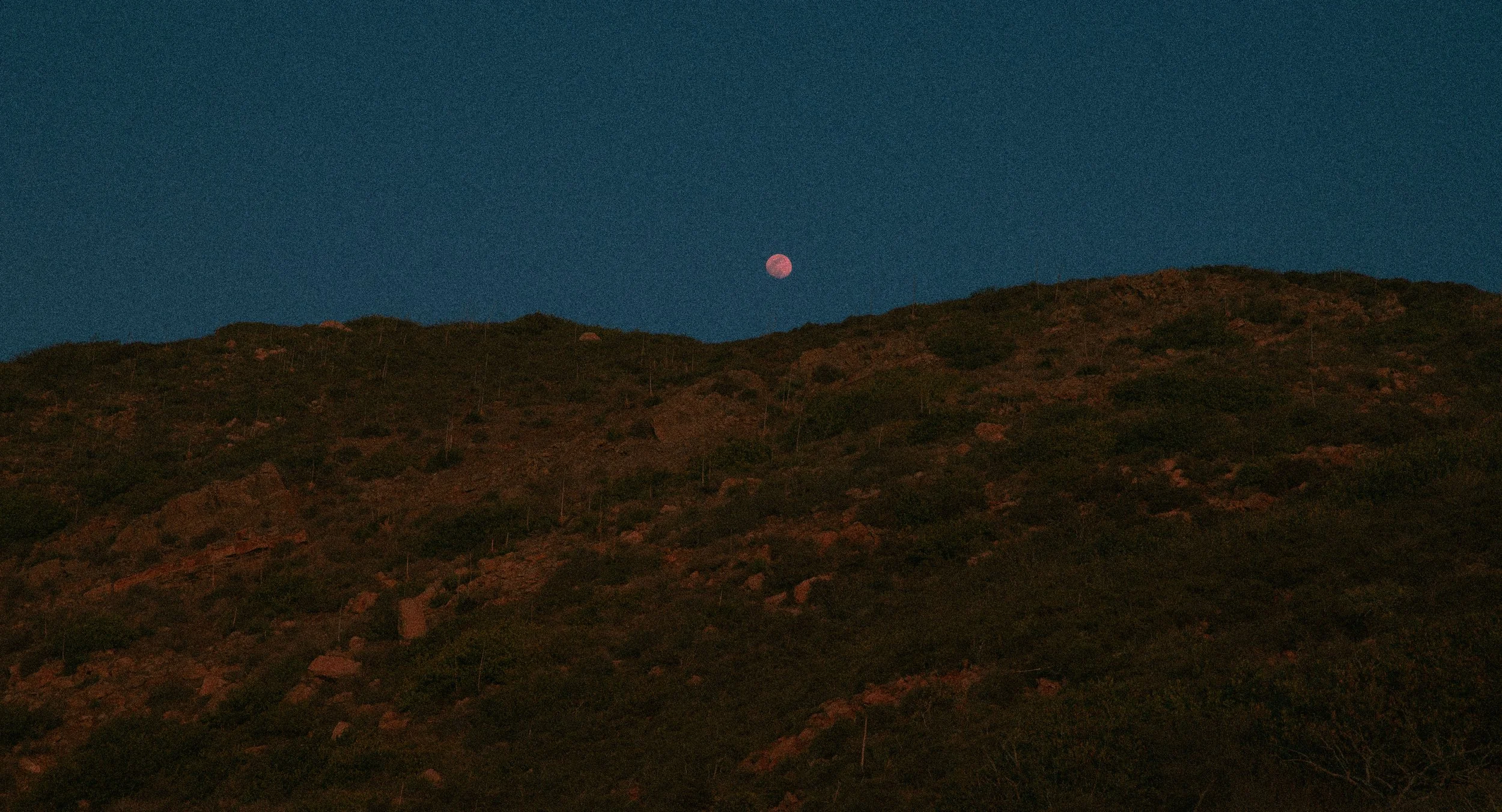 无足轻重 photograph 7