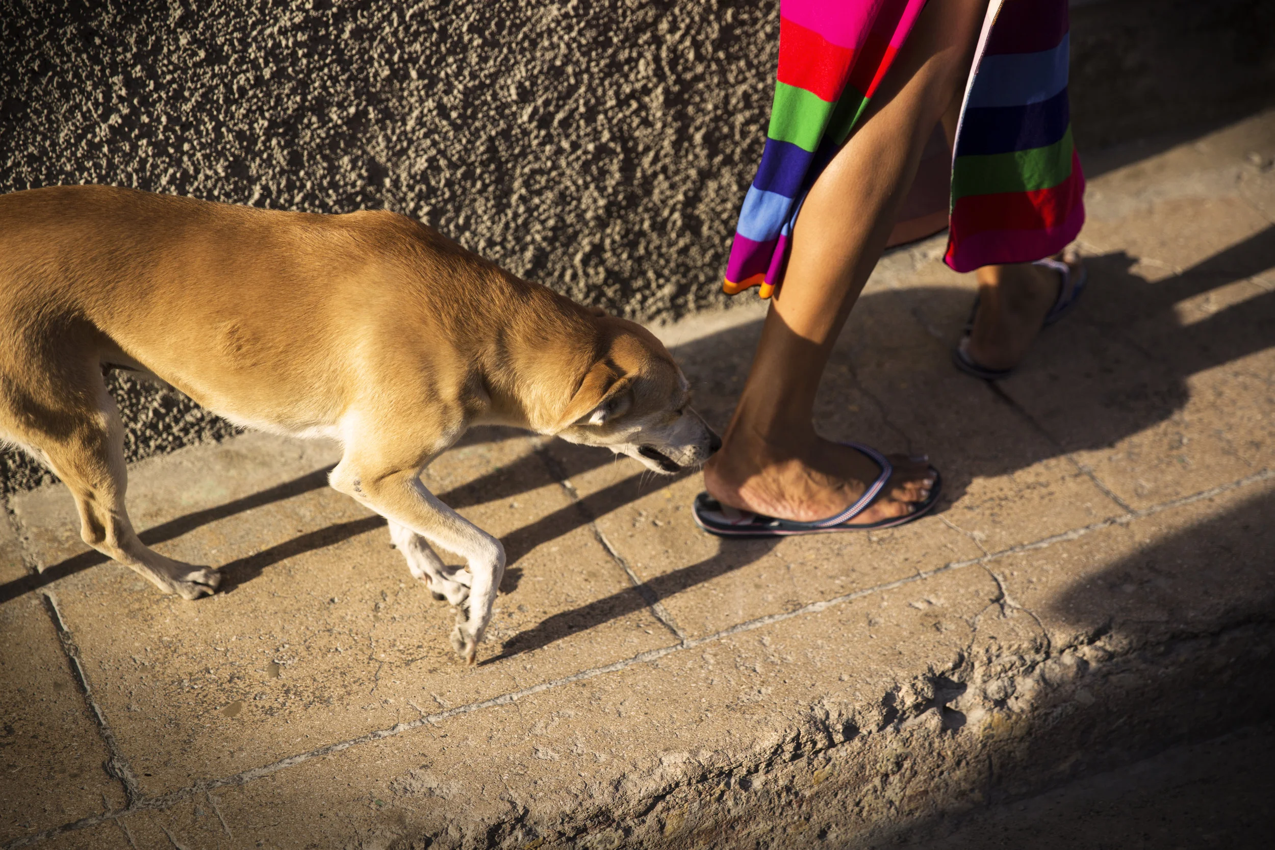 A Short Day in Cuba photograph 1