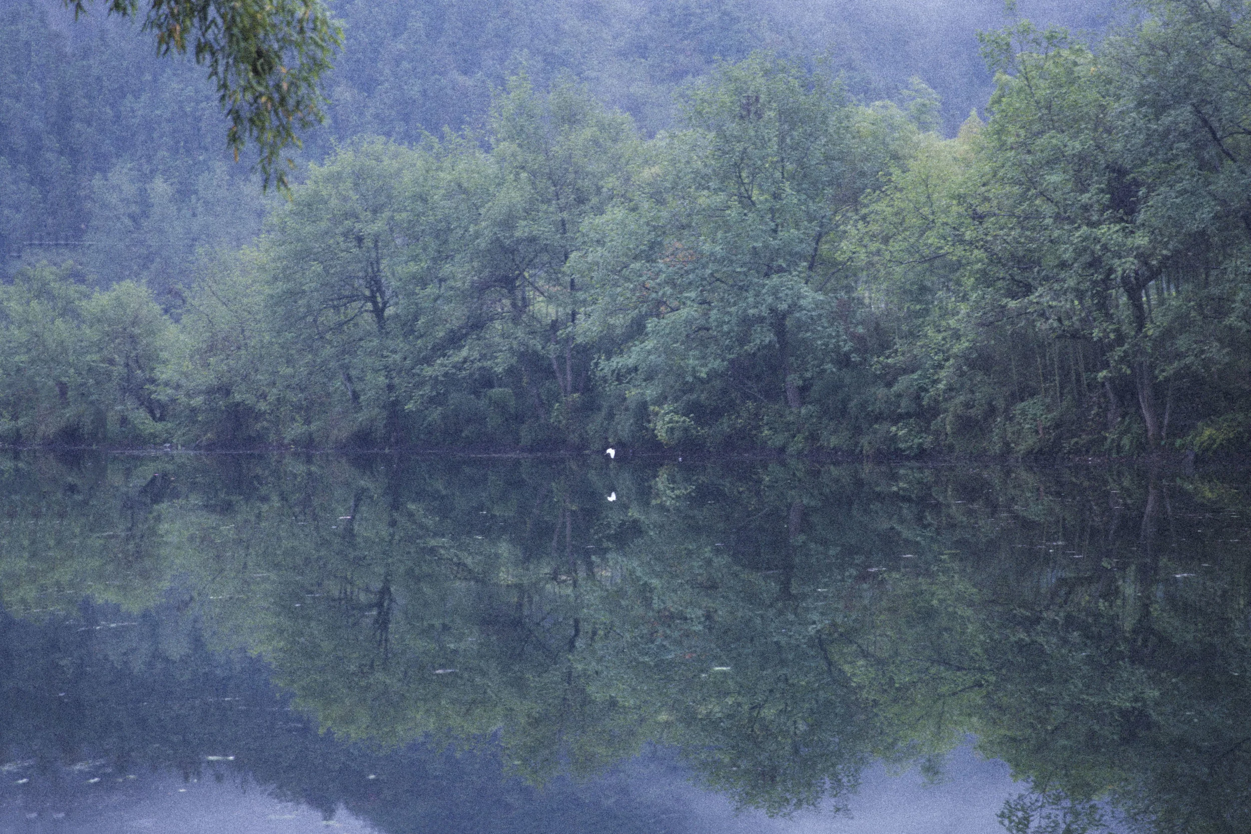 Dreams photograph 1
