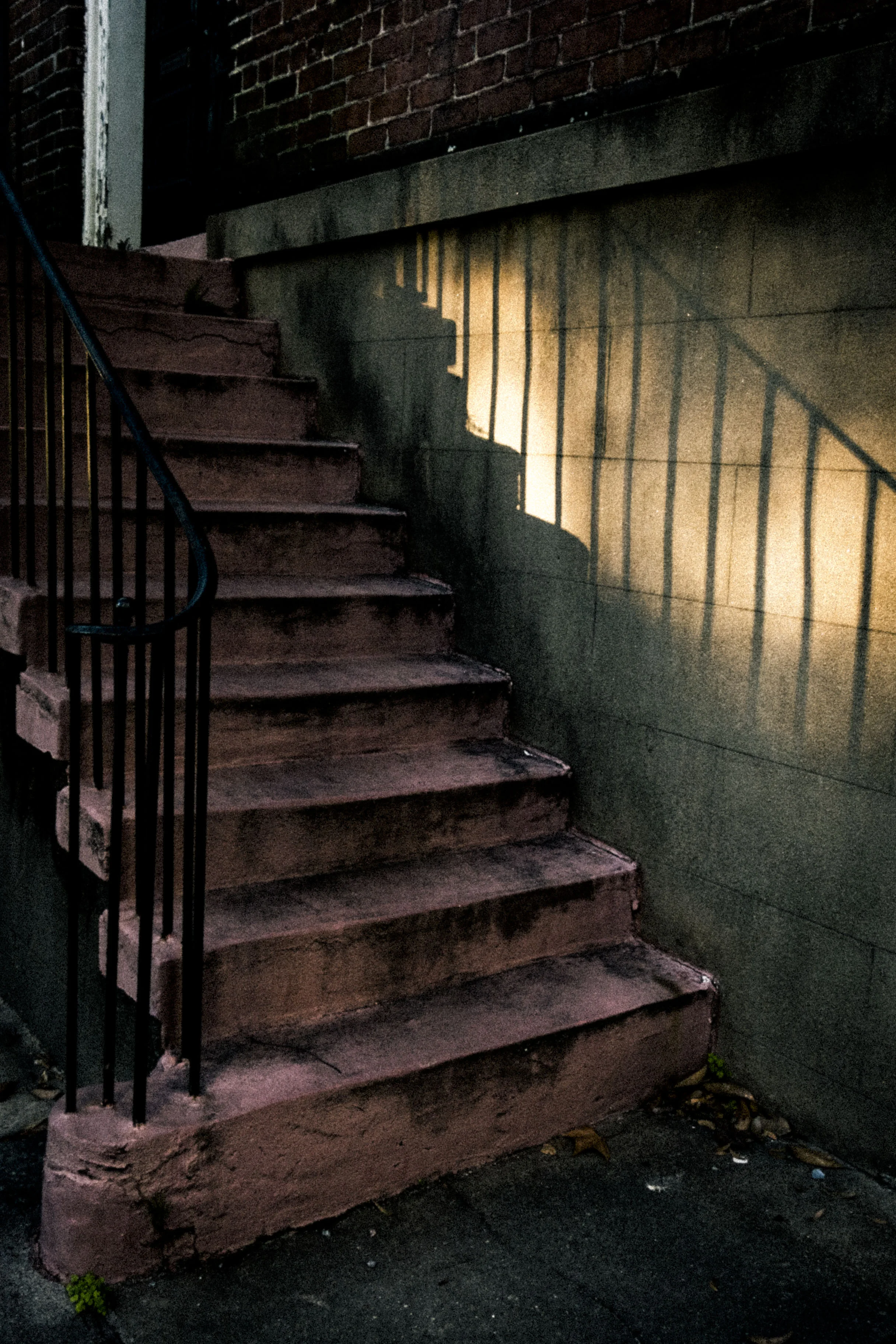 Savannah photograph 8
