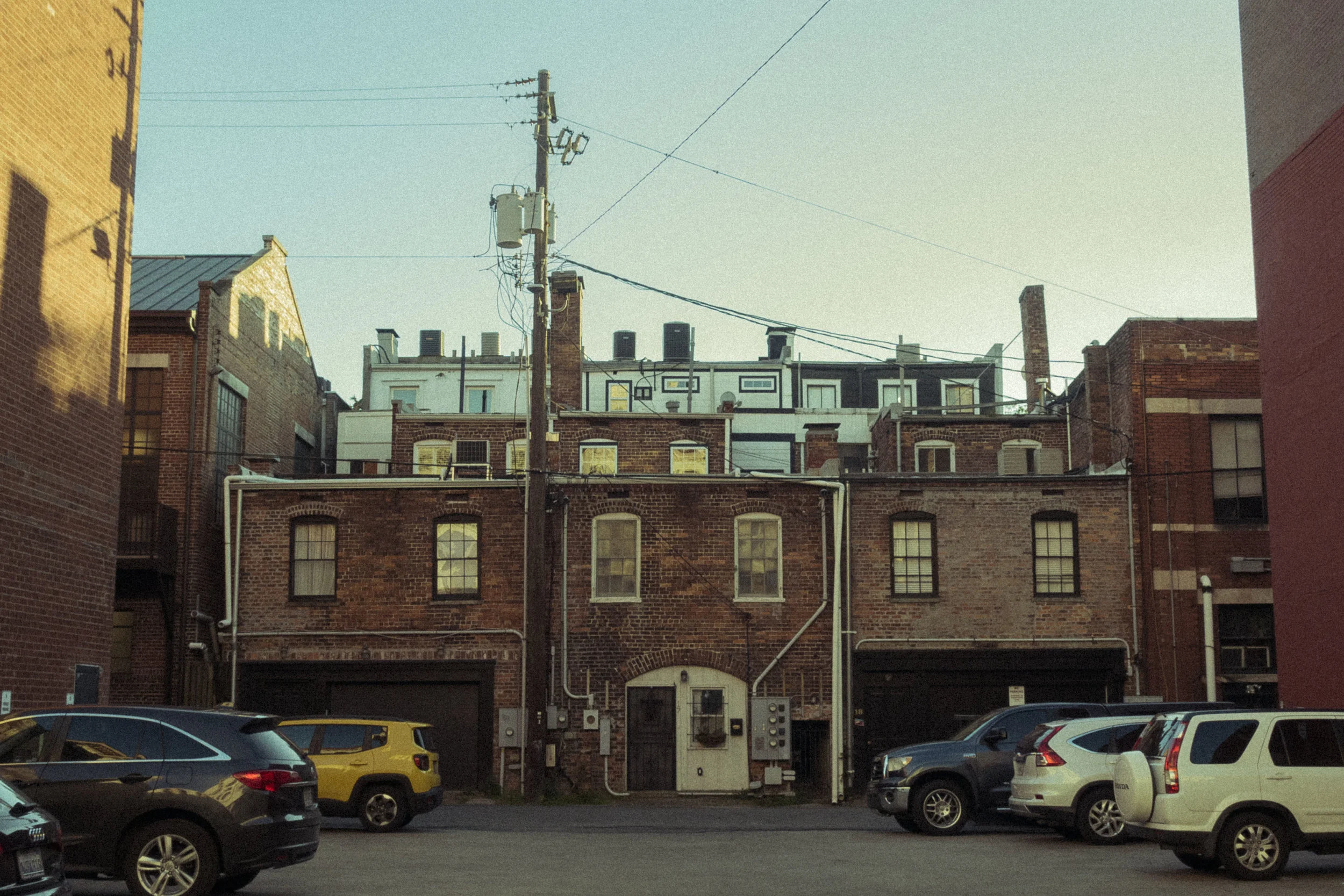 Savannah photograph 7