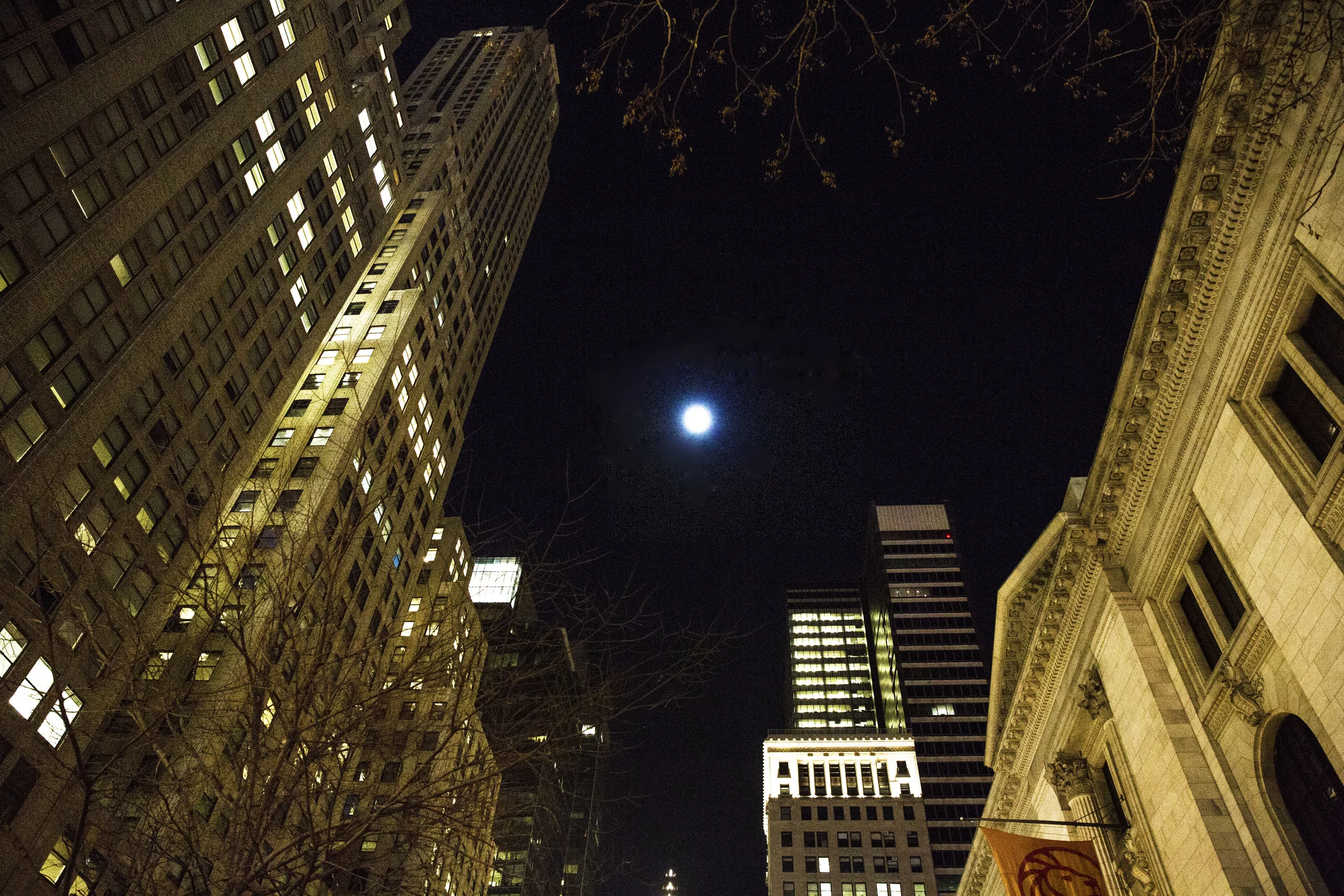 NYC photograph 11