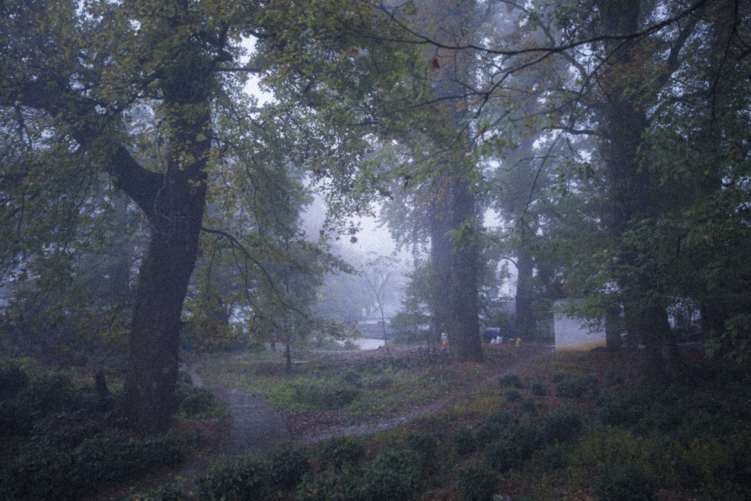 Dreams photograph 12