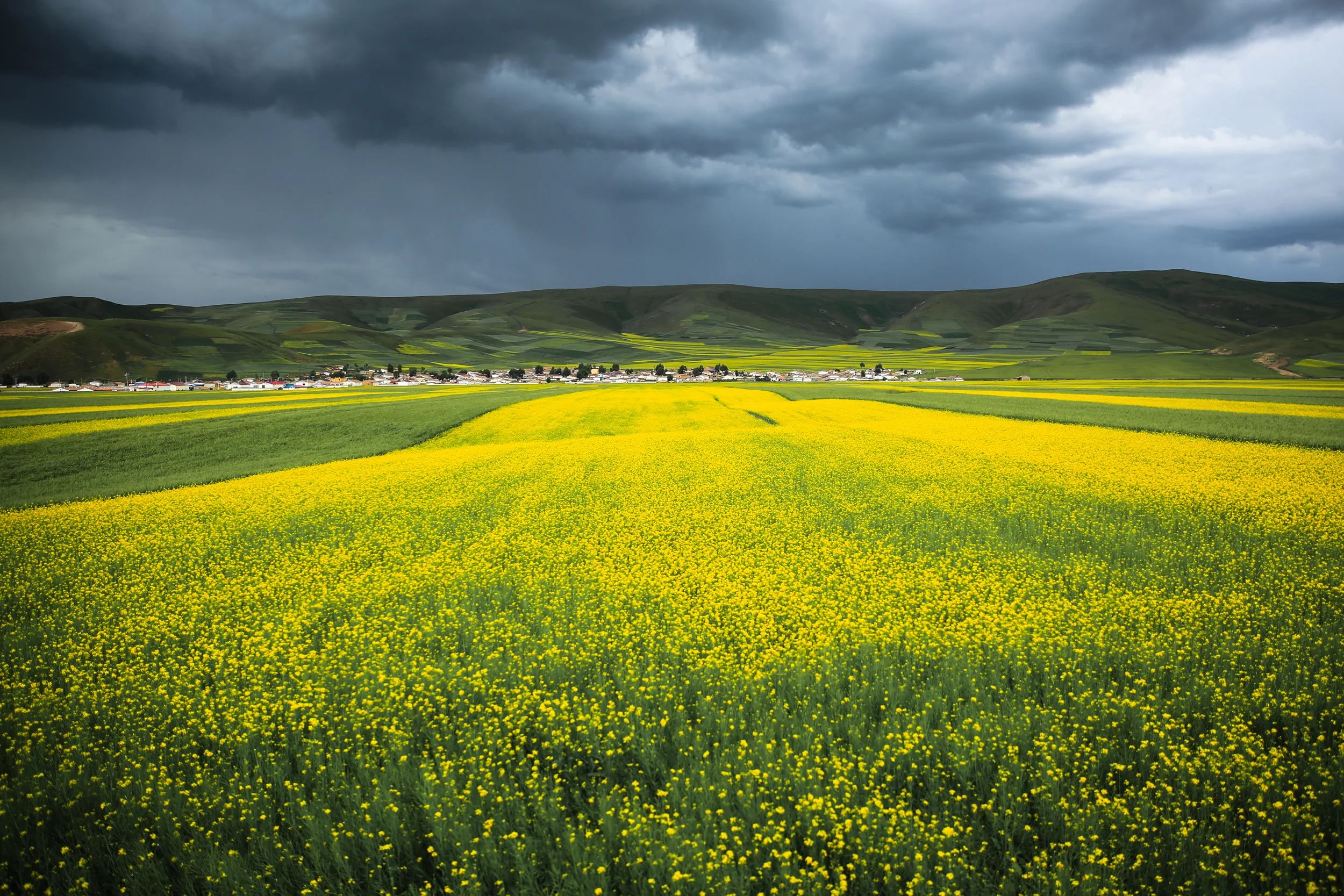 Qinghai photograph 5