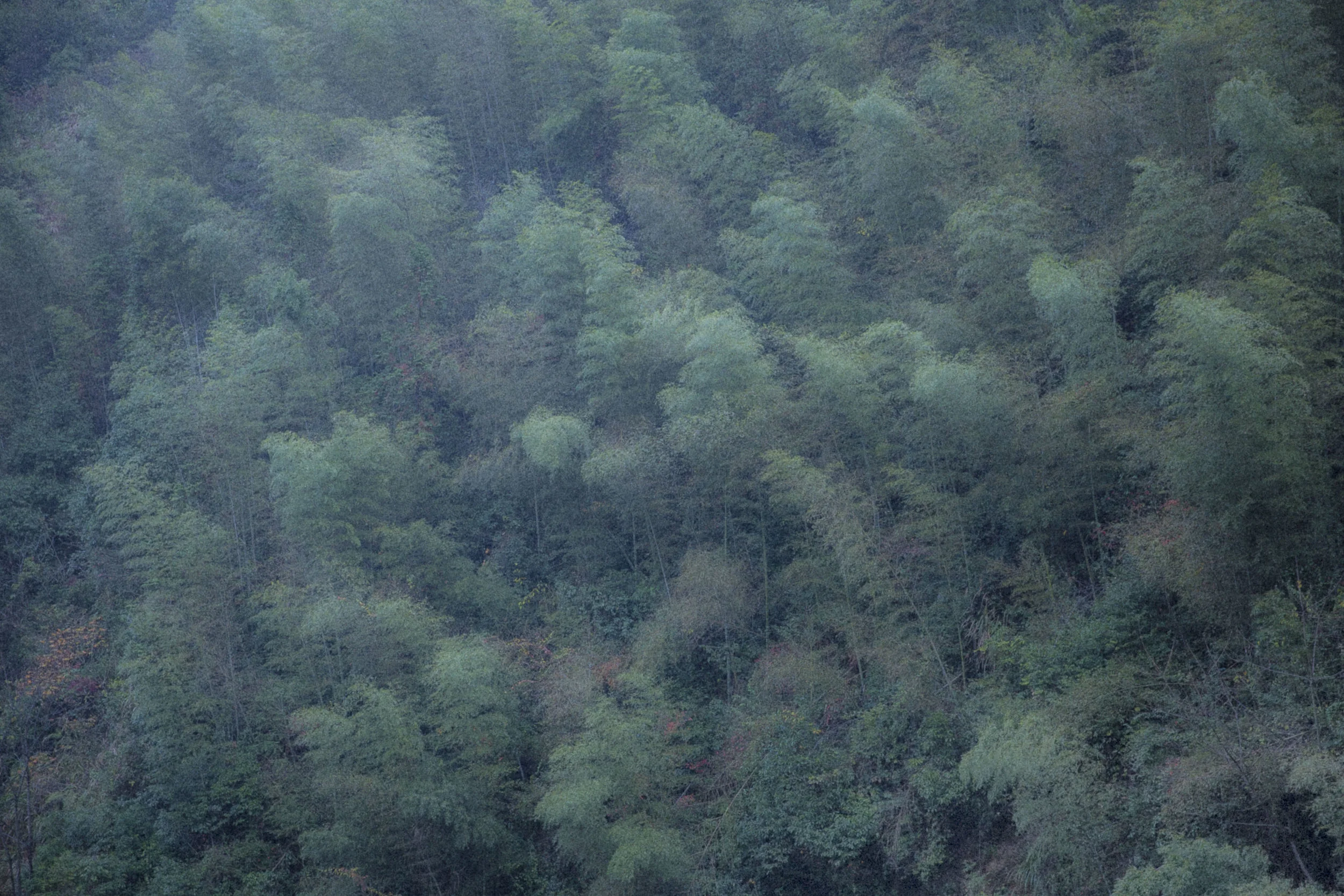 Dreams photograph 10