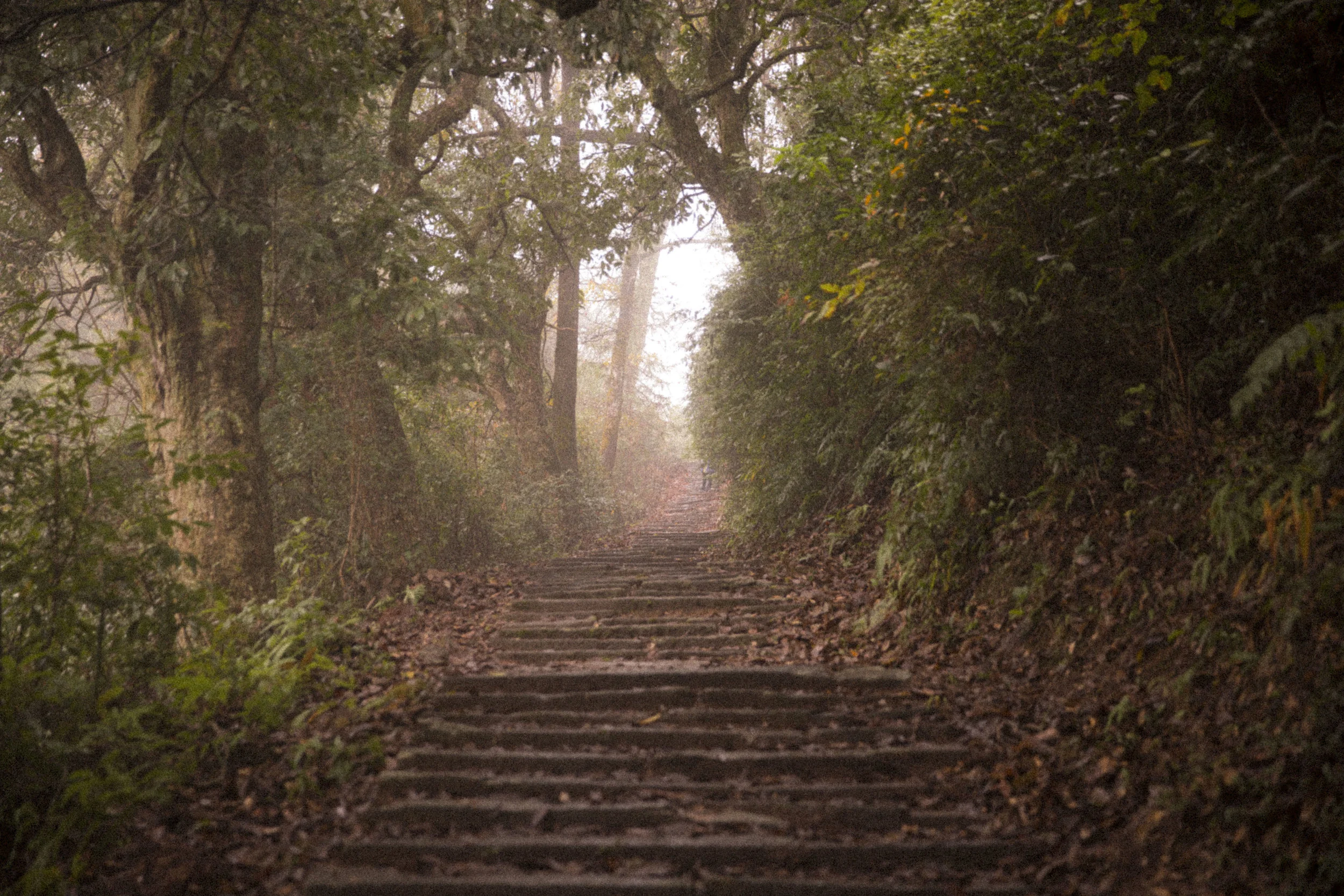 Dreams photograph 8