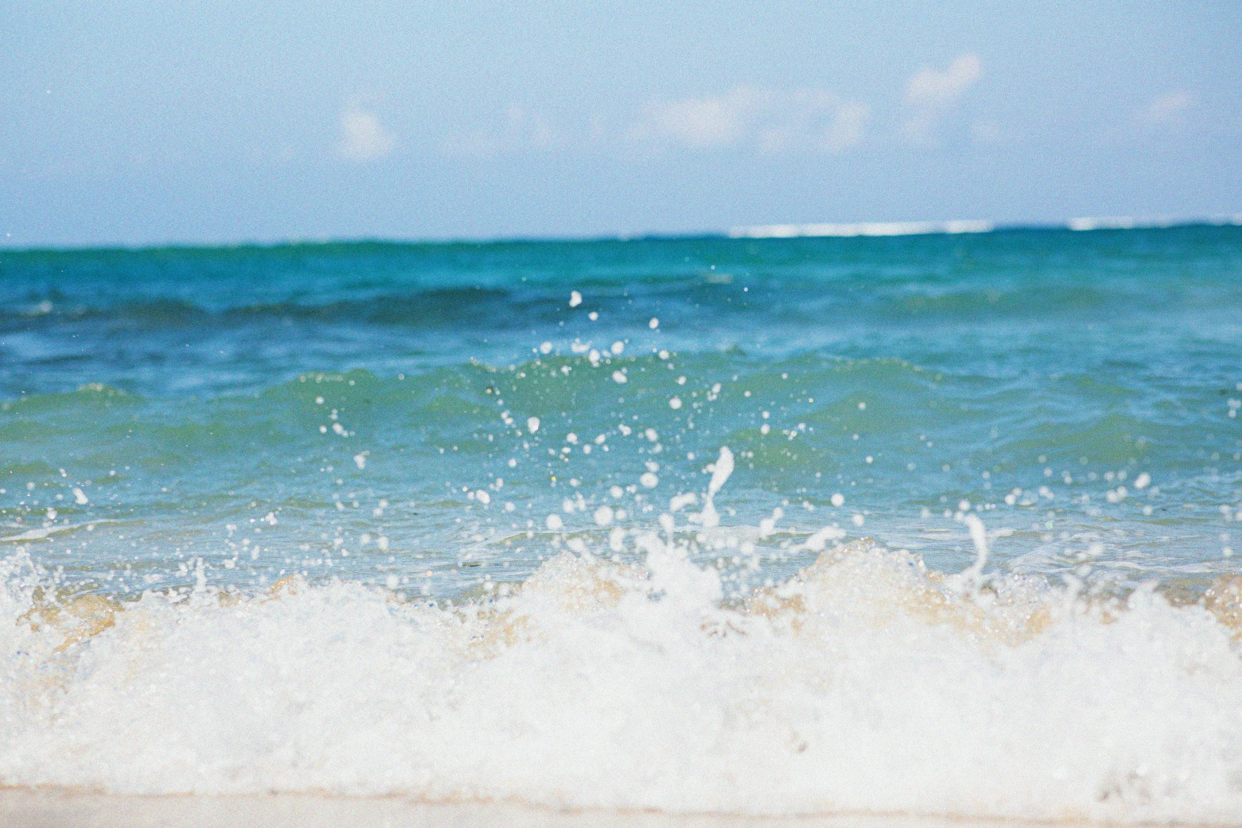 Hawaii photograph 16