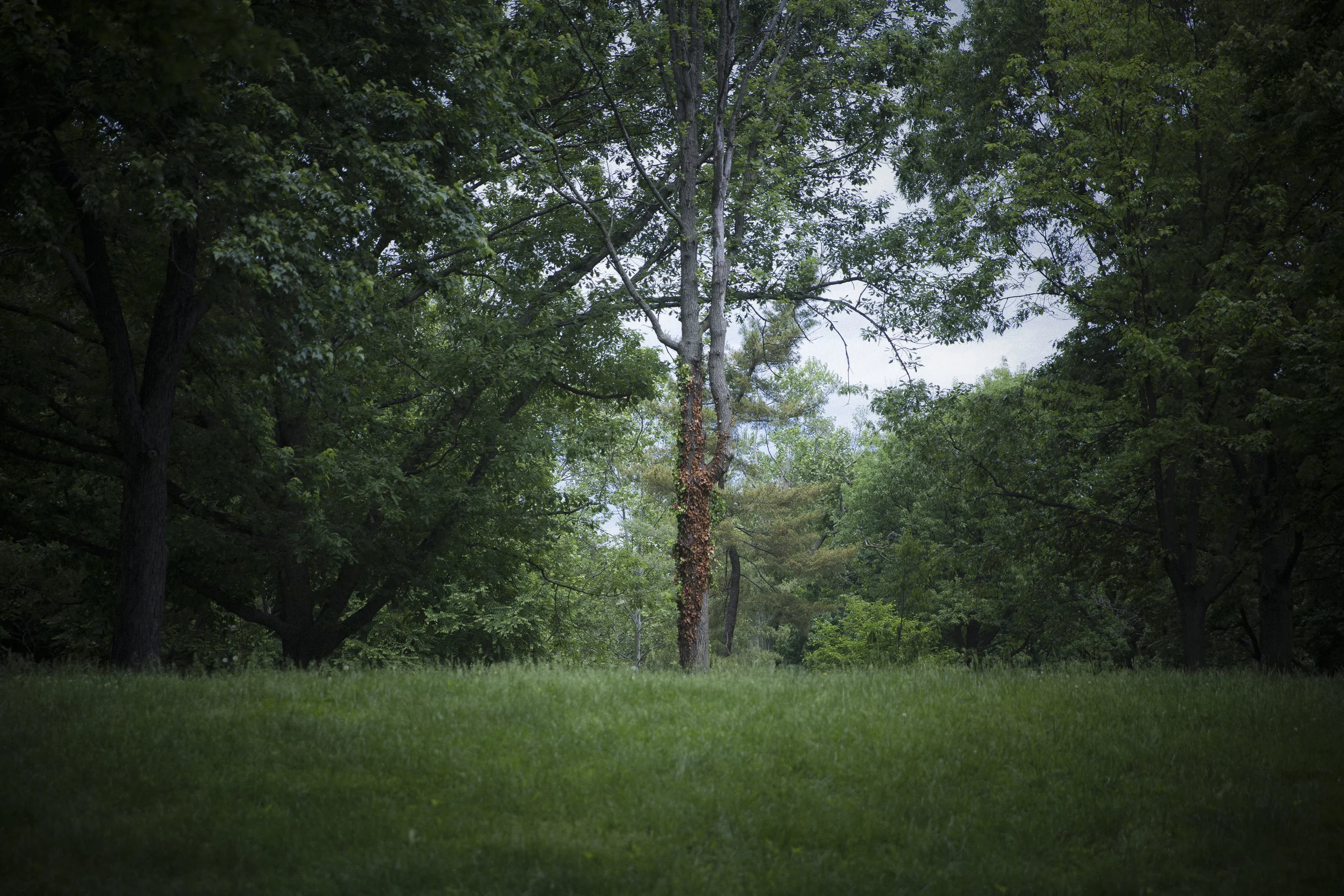 Dreams photograph 5