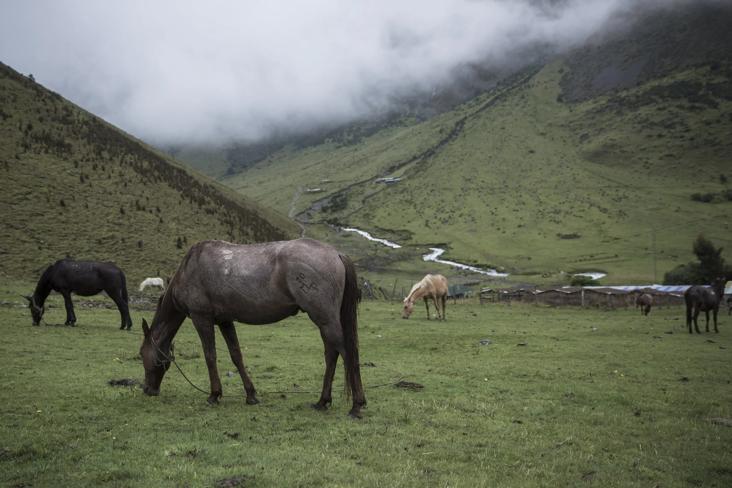 Peru photograph 6
