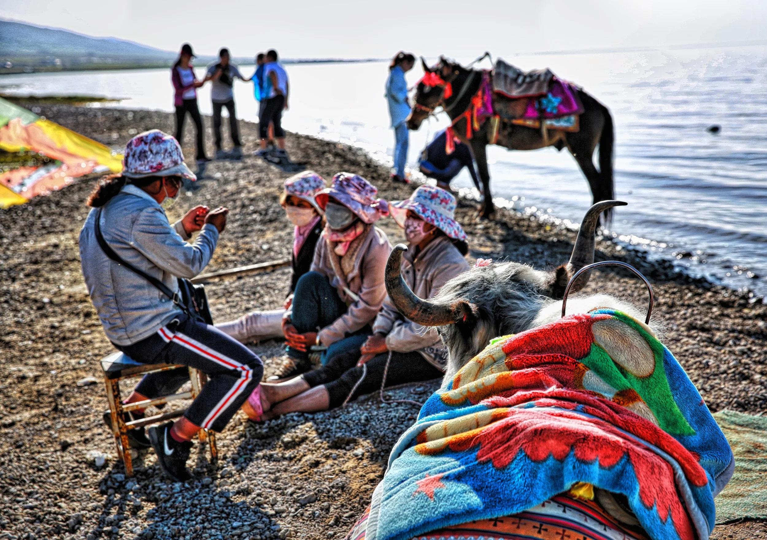 Qinghai photograph 4