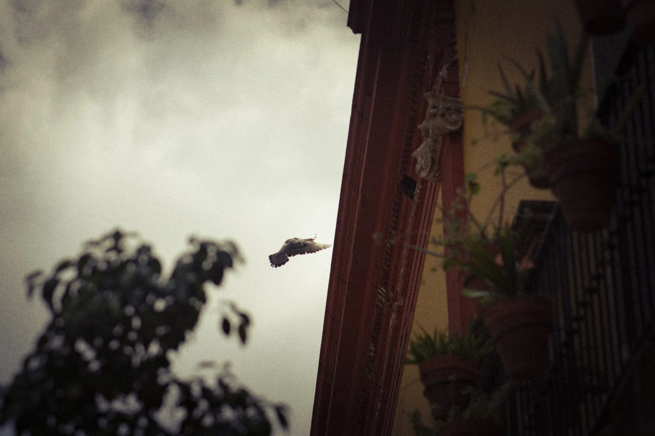 Mexico photograph 12