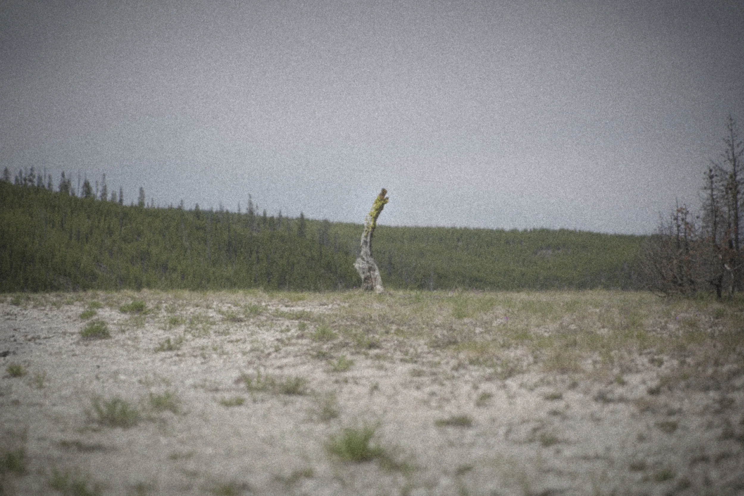 Dreams photograph 4