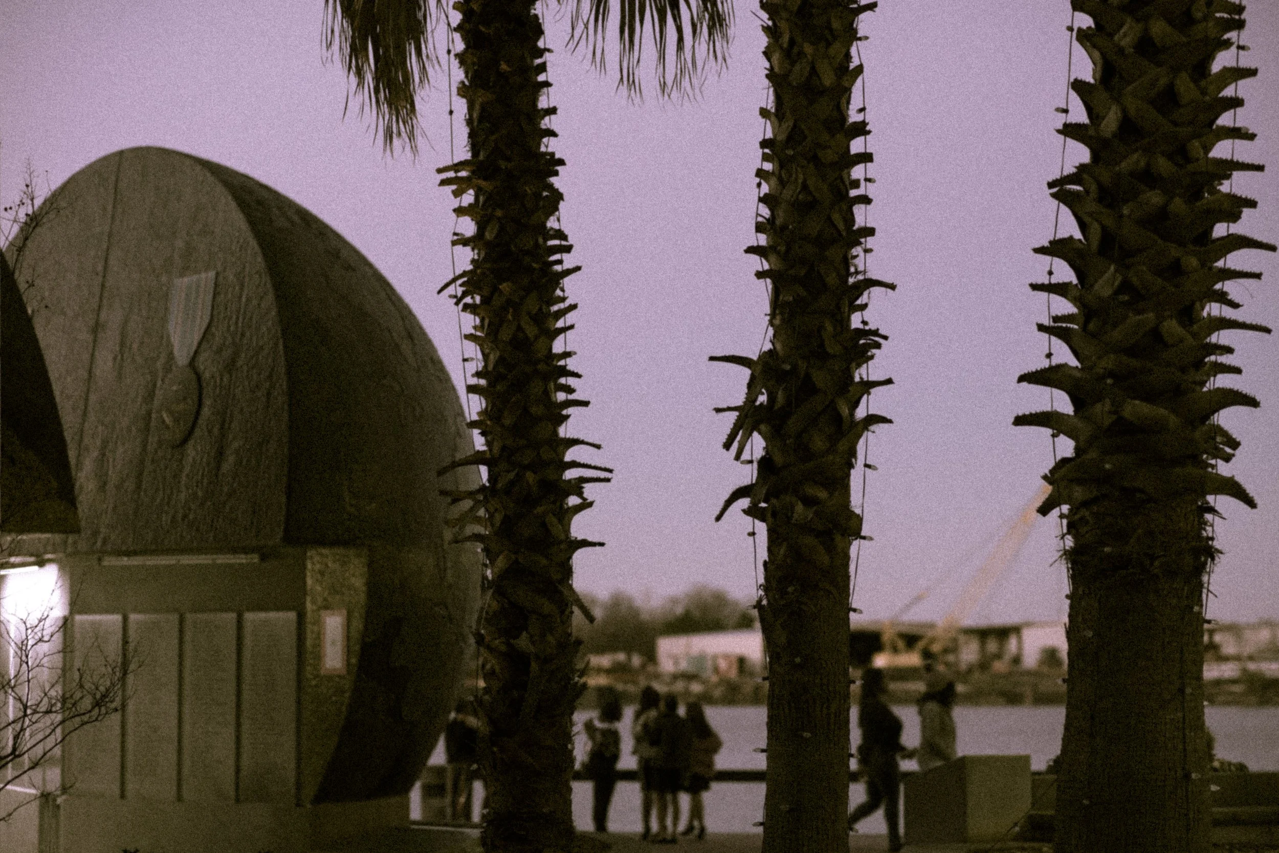 Savannah photograph 5