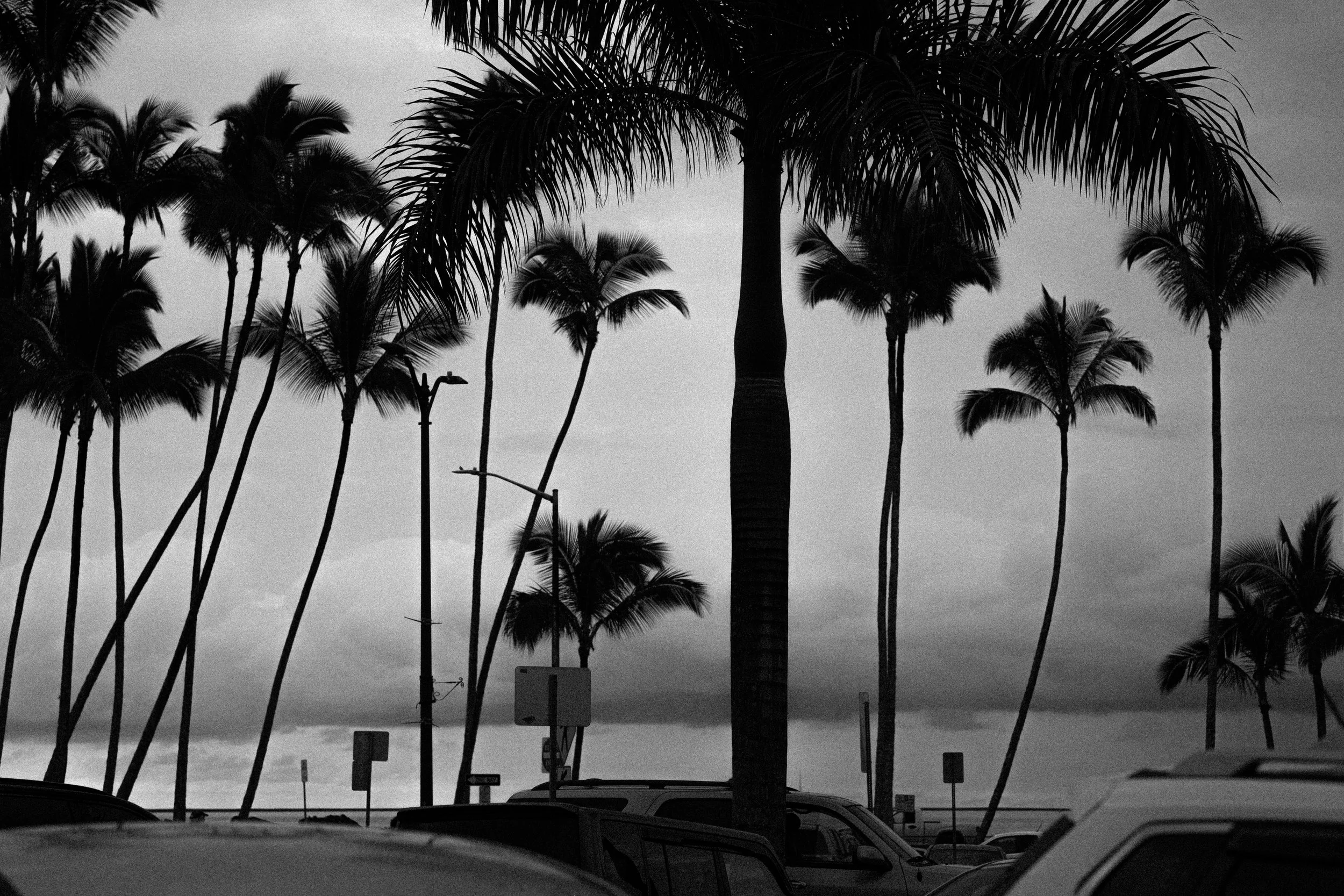 Hawaii photograph 9