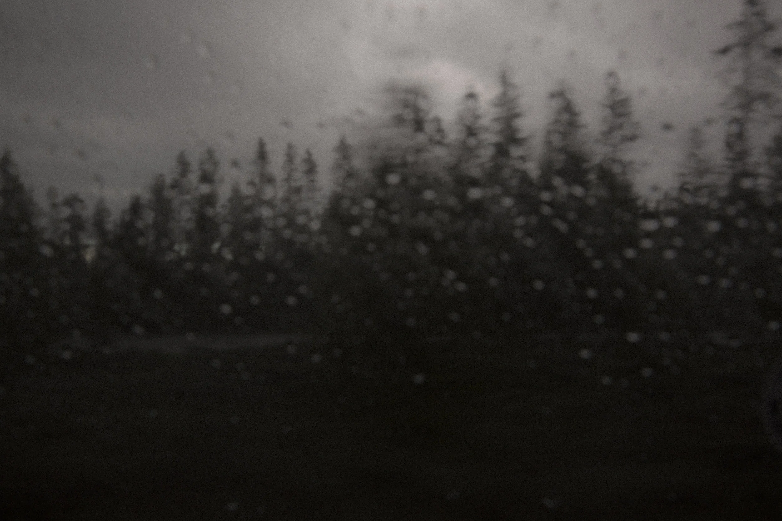 Dreams photograph 3