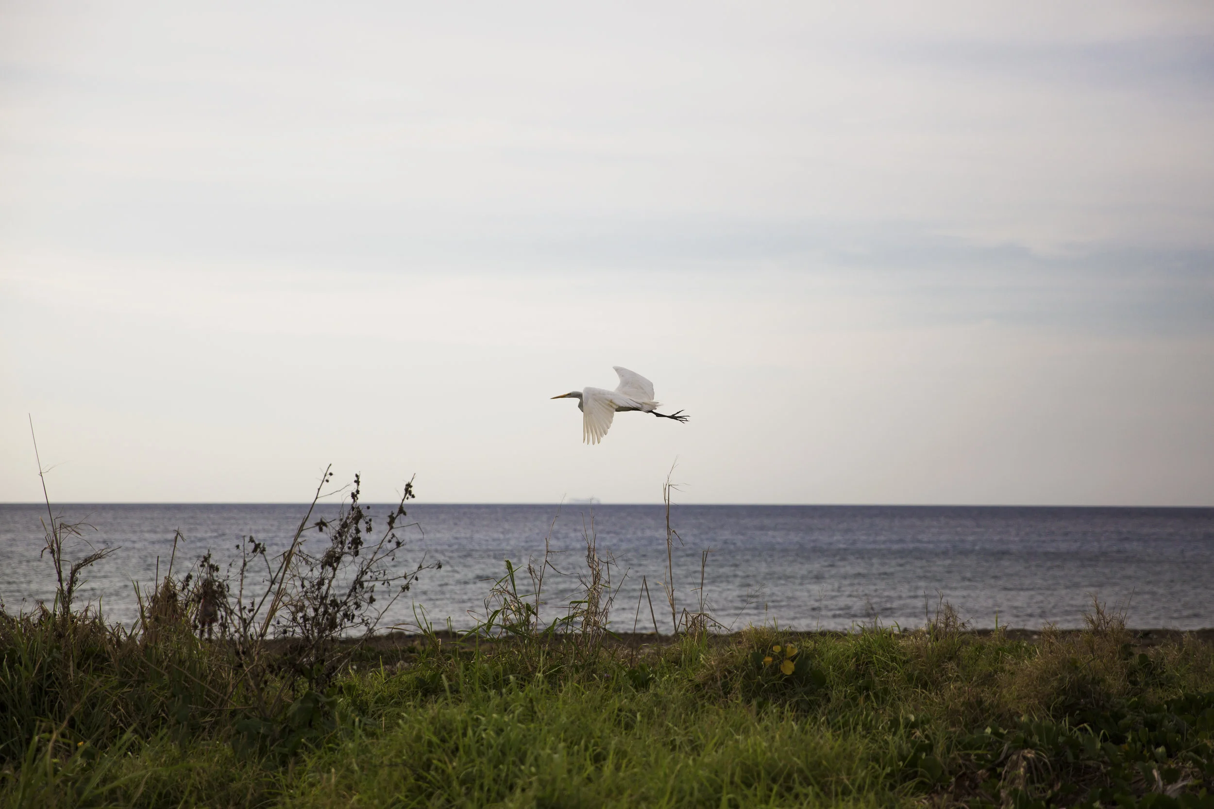 A Short Day in Cuba photograph 34
