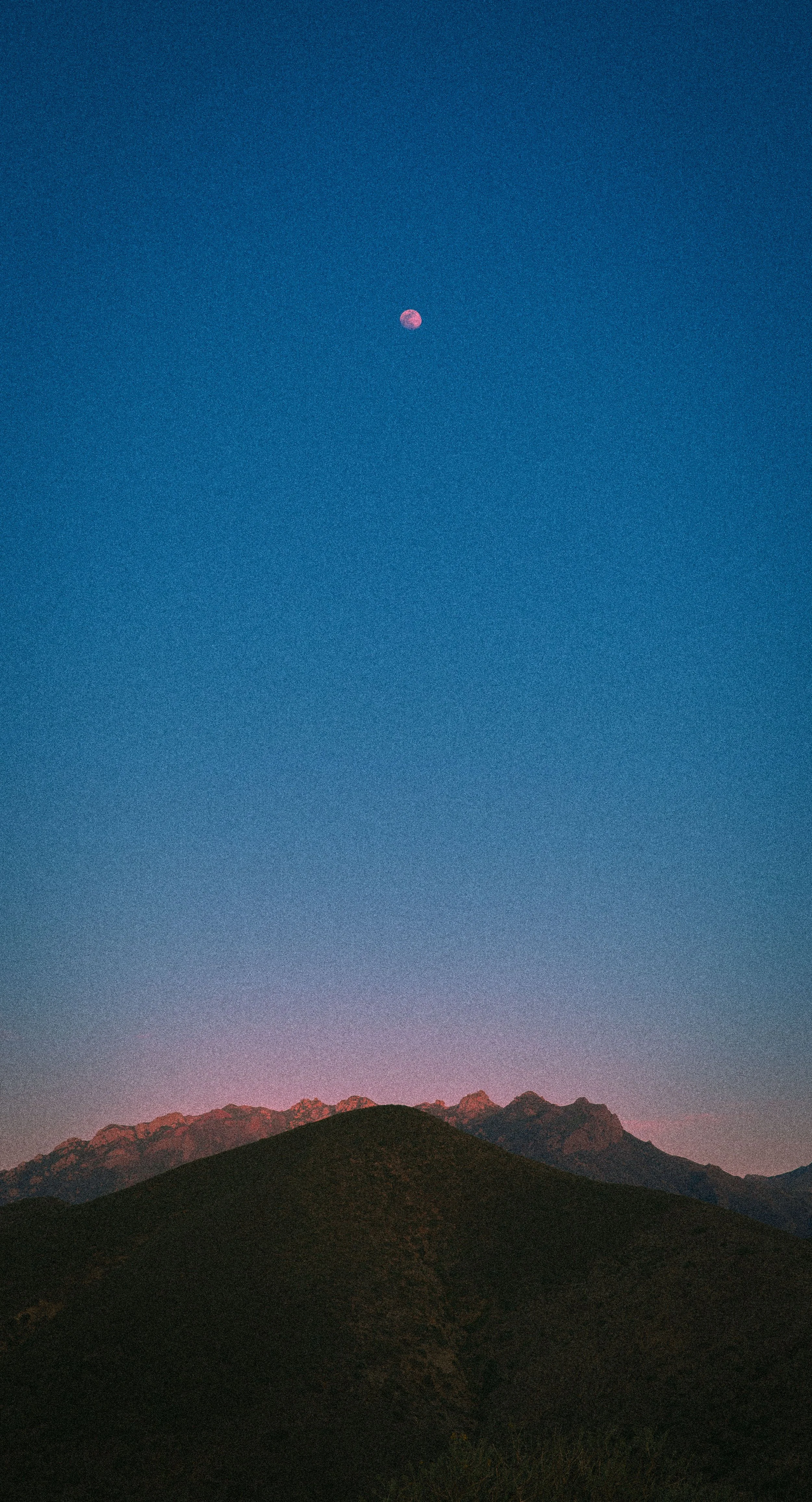 无足轻重 photograph 1