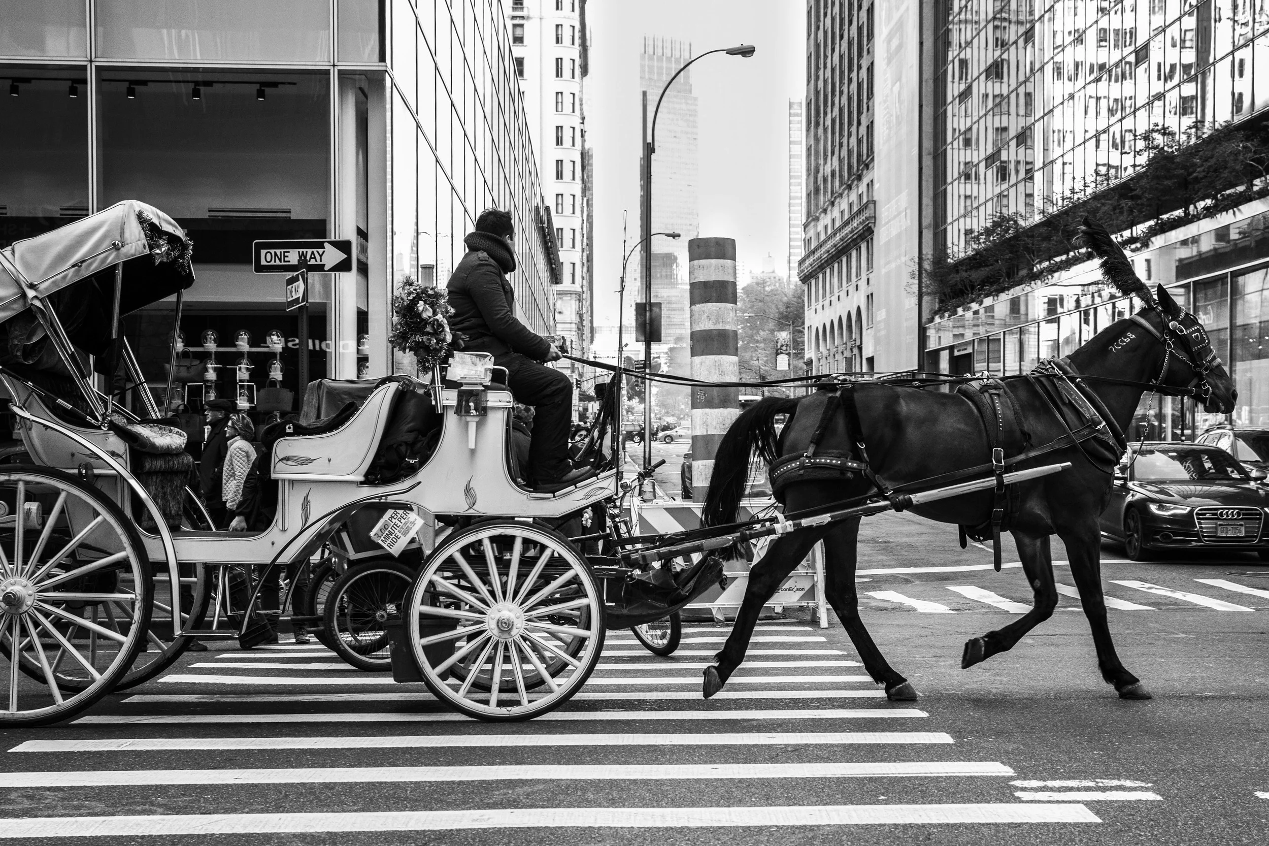 NYC photograph 21