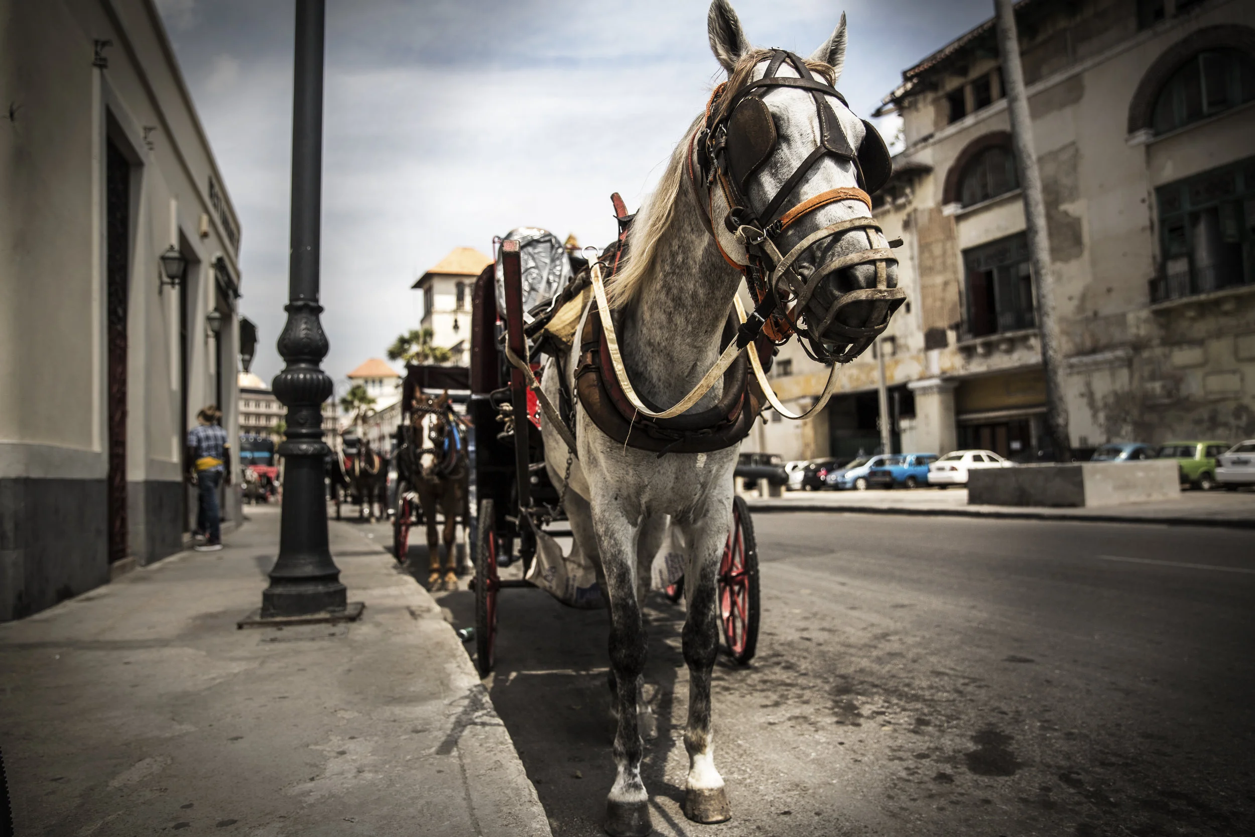A Short Day in Cuba photograph 10